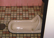 Japanese Style Toilet